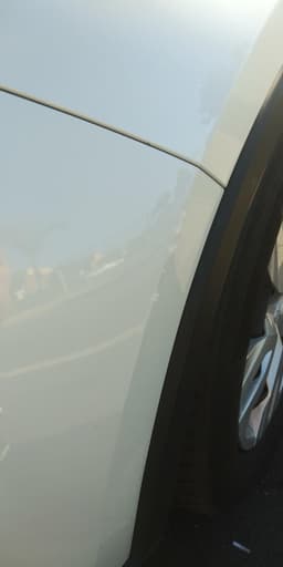 Photo by S. Rivas 1